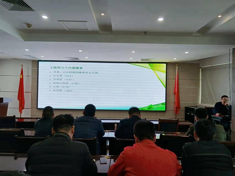 專精專注，進(jìn)而有為——農(nóng)達(dá)生化組織開展公司內(nèi)部植保技術(shù)培訓(xùn)會(huì)(圖3)