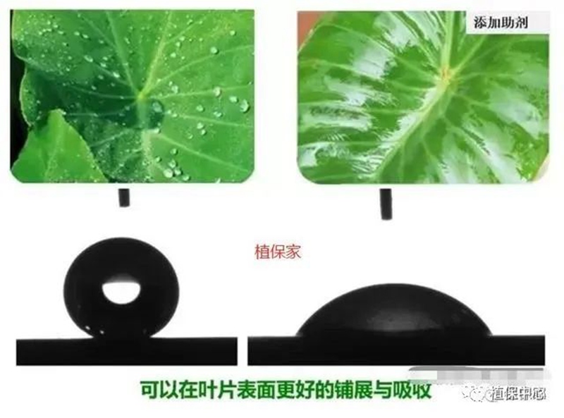 農(nóng)藥成分和含量一模一樣，為啥效果差別那么大？(圖2)